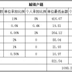 广安社保代缴