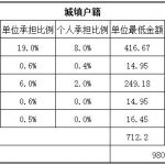 乐山社保代缴