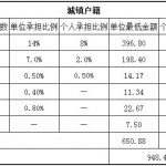 南宁社保代缴