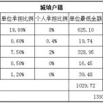 攀枝花社保代缴