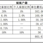 双鸭山社保代缴