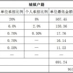 辽源社保代缴