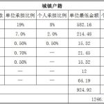 六安社保代缴