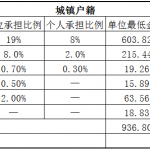 丽江社保代缴