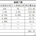 枣庄社保代缴