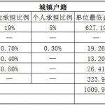 临沧社保代缴